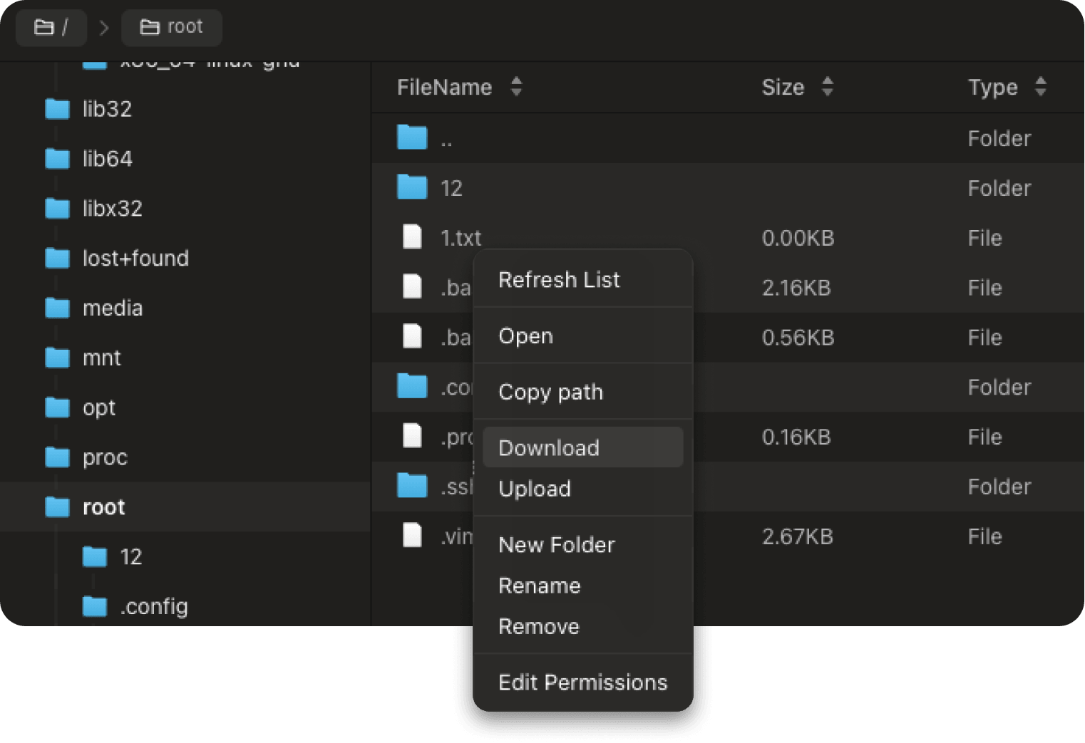 远程文件管理器